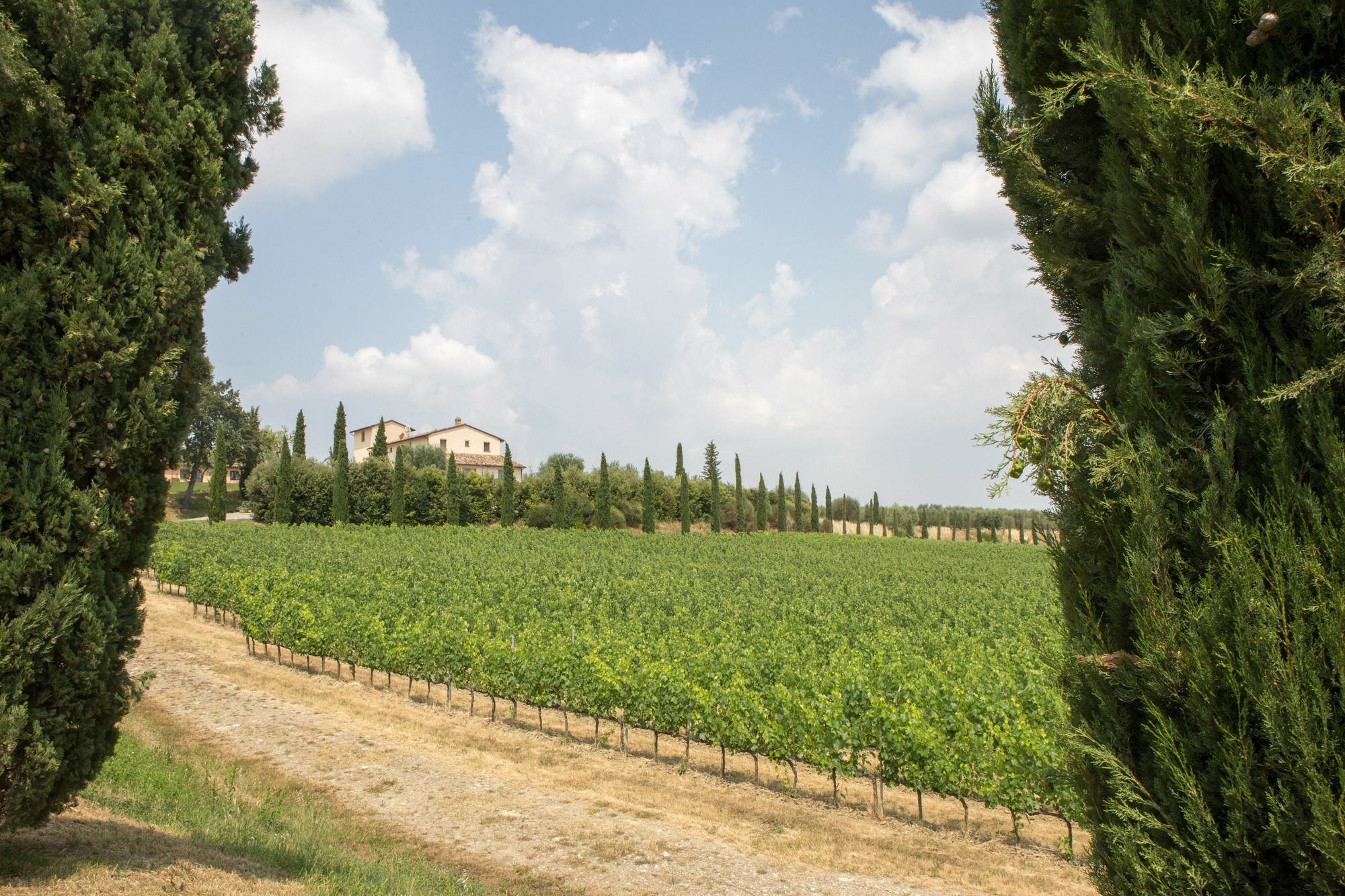 Le Buche Wine Resort&Spa Macciano Extérieur photo